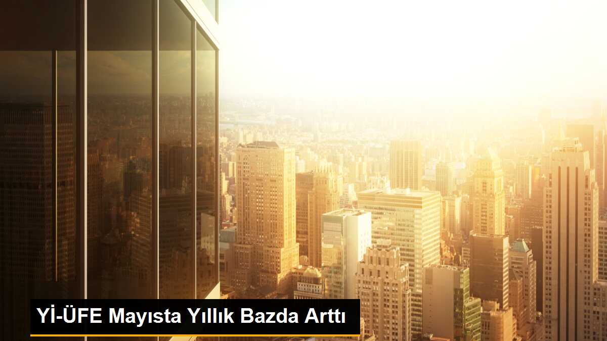 Yurt İçi Üretici Fiyat Endeksi Mayıs Ayında Arttı