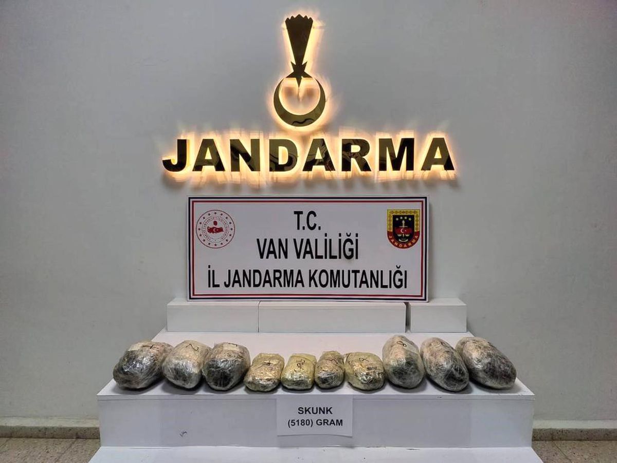 Van\'da 5 Kilo Skunk Ele Geçirildi