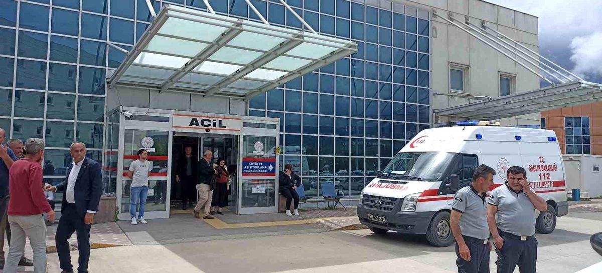 Tokat\'ta Ağaç Keserken Çarpan Kavak Ağacı Hayatına Mal Oldu