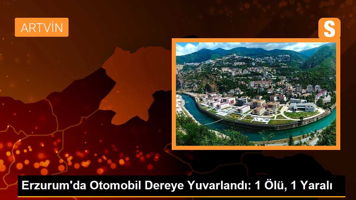 Erzurum\'da otomobil kaza yaptı: 1 ölü, 1 yaralı