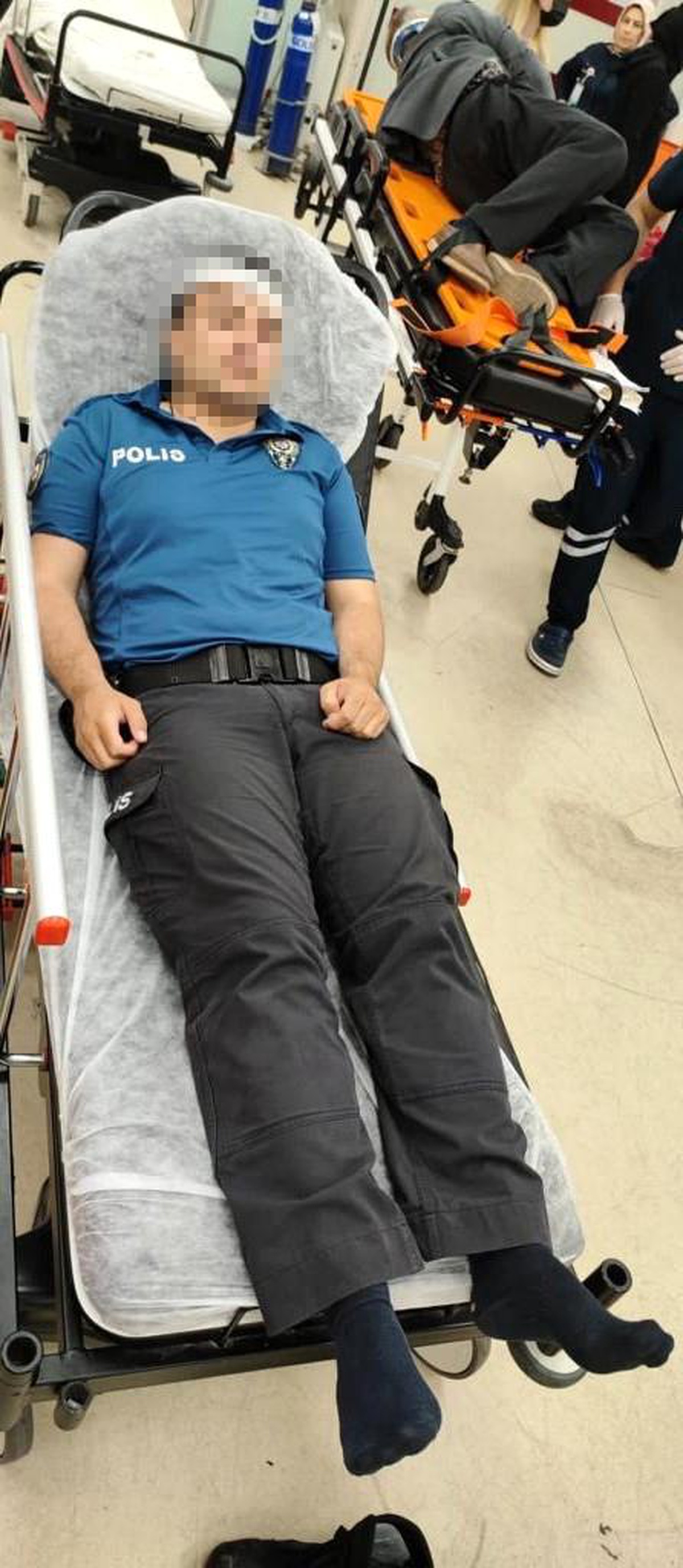 Pendik\'te Kediye İşkence Yapan Şahıs Polise Saldırdı, Köpek Sahibi Polis Memurunu Taşla Yaraladı