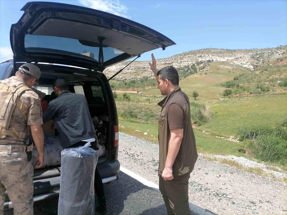 Siirt\'te biyokaçakçılara yönelik denetim yapıldı