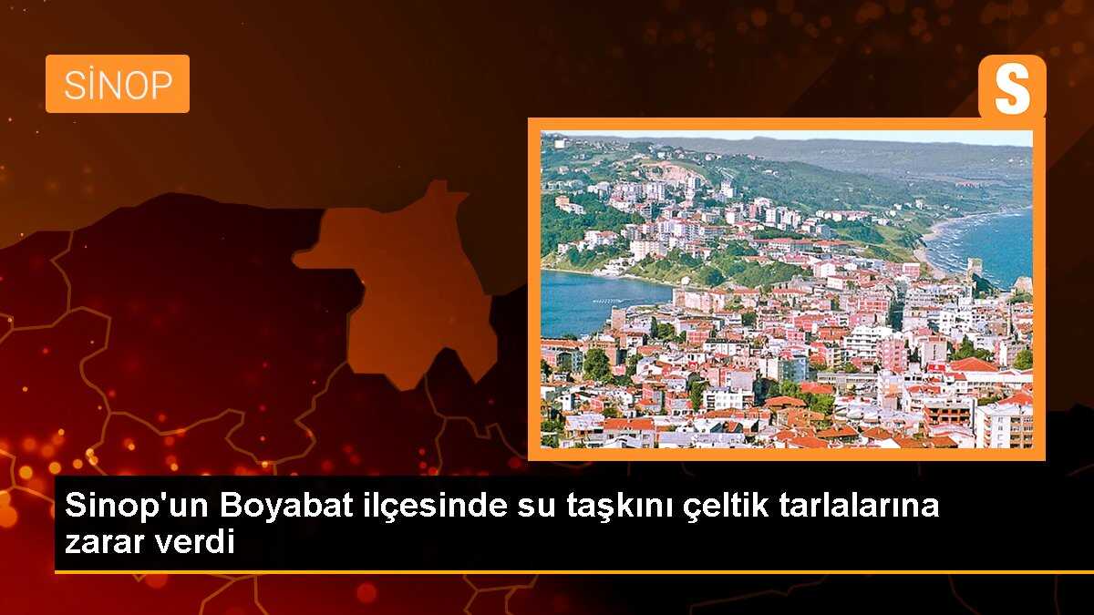 Sinop\'ta Sağanak Nedeniyle Çeltik Tarlaları Su Altında Kaldı