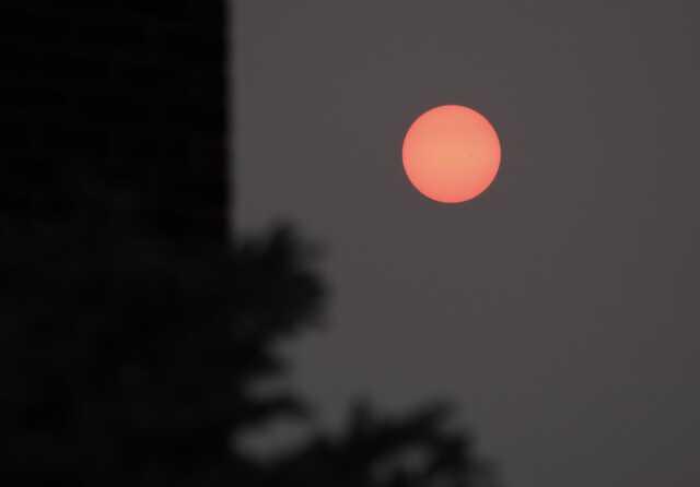 ABD'nin Kuzey Doğu Eyaletleri Kanada'daki Orman Yangınlarından Etkilendi