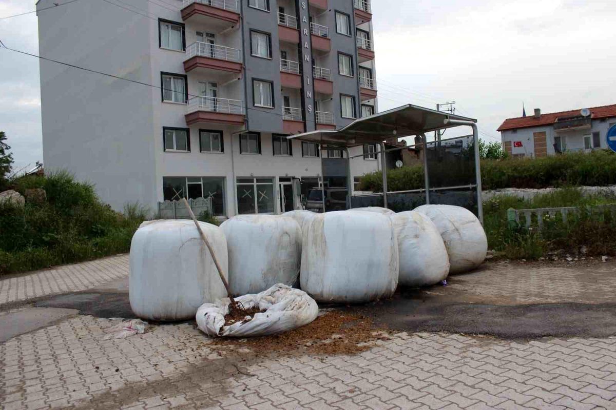 Afyonkarahisar\'da Erenler Mahallesi\'nin yolları ve kaldırımları yıllardır sorunlu