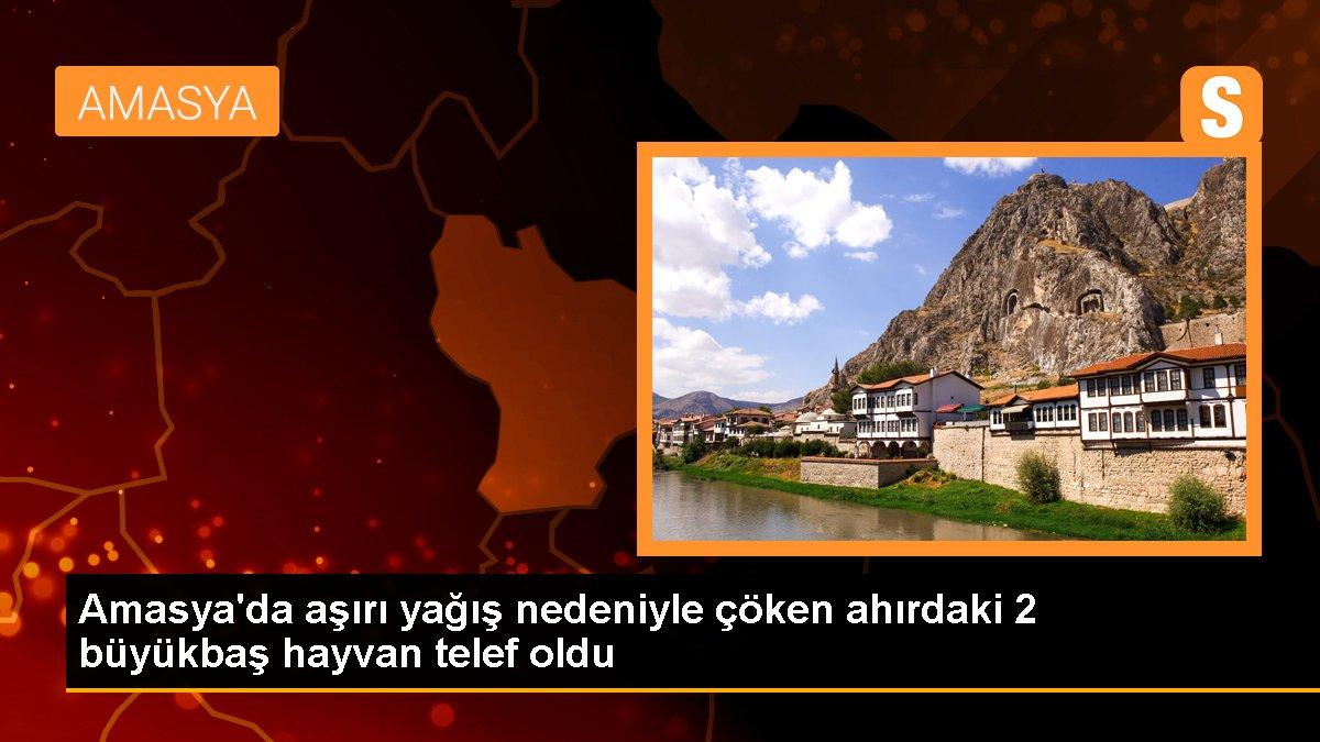 Amasya\'da aşırı yağış sonucu ahır çöktü, 2 büyükbaş hayvan telef oldu