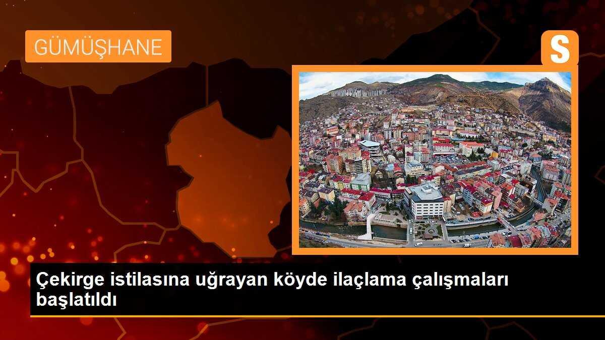 Çekirge istilasına uğrayan köyde ilaçlama çalışmaları başlatıldı
