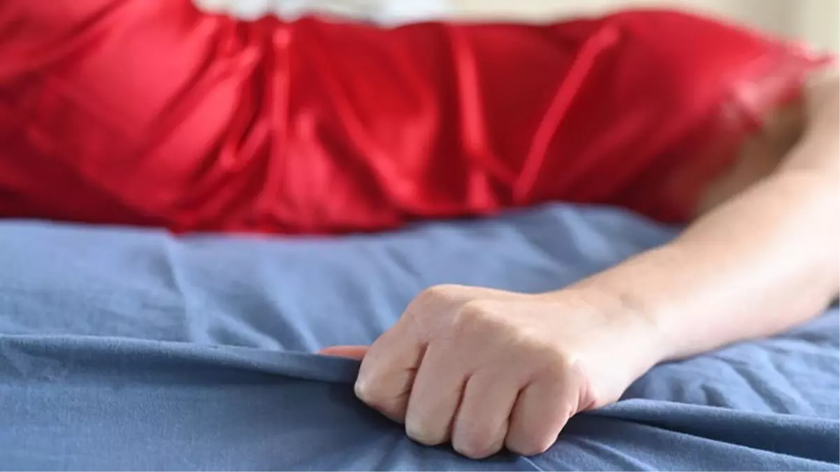 Cinsel İlişki Şampiyonası\'na sayılı günler kaldı! İşte kurallar ve katılacak ülkeler