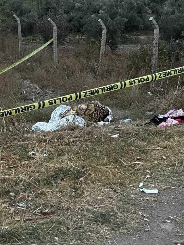 Denizli'de fare zehriyle öldürülen kadının sevgilisi intihar ettiğini iddia etti