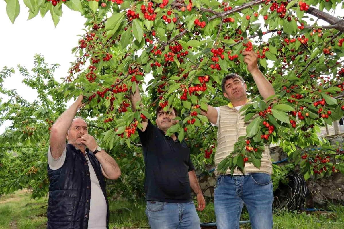 Erzurumlu Girişimci Devlet Desteğiyle Hayalini Kurduğu Meyve Bahçesine Kavuştu