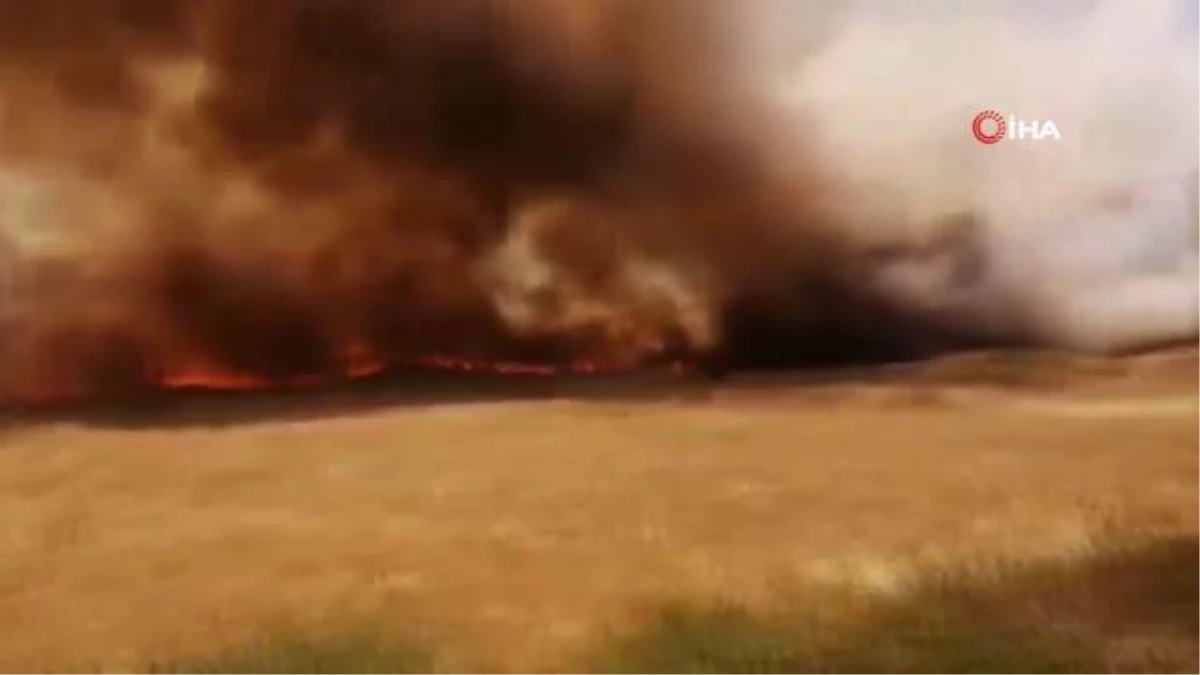 Gaziantep\'te tarla yangını Doğalgaz Dağıtım Merkezi\'ni tehdit ediyor
