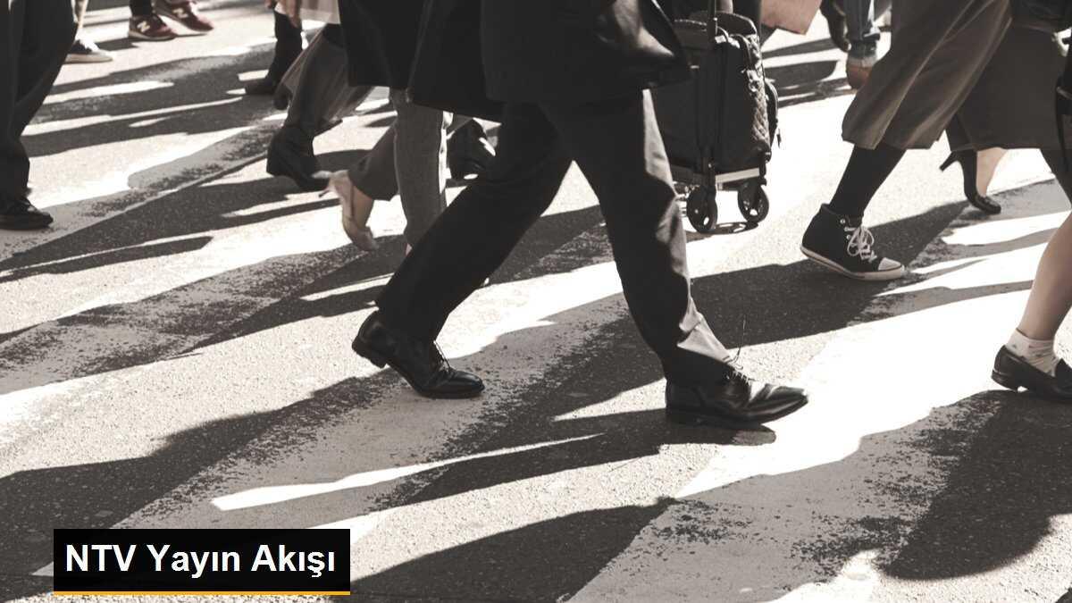 NTV Yayın Akışı: Bugün Hangi Programlar Var?