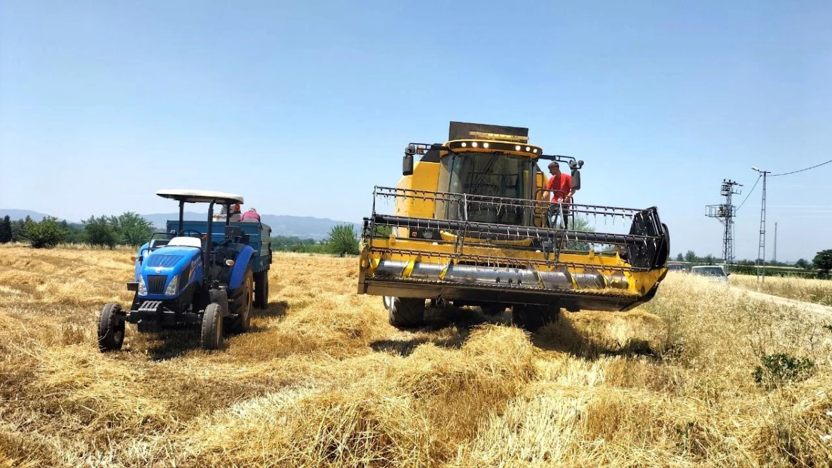 Cumhurbaşkanı Erdoğan\'ın açıkladığı buğday fiyatı Osmaniyeli çiftçileri sevindirdi