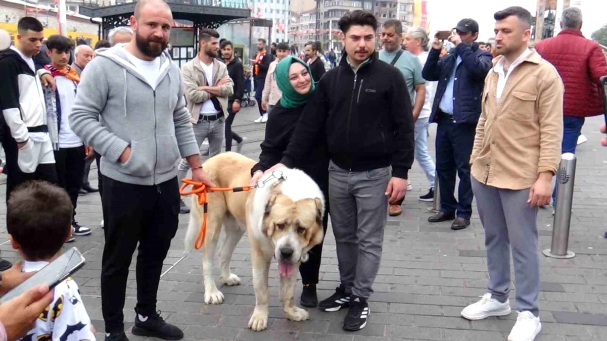 Lüleburgaz\'da düzenlenen köpek yarışmasının şampiyonu Taksim\'de kutlandı