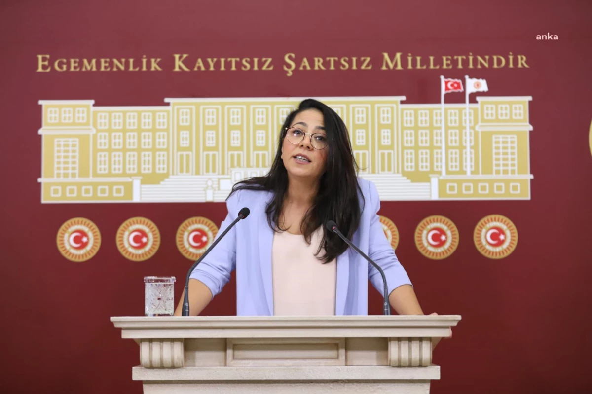 TİP Sözcüsü Sera Kadıgil, tutuklu milletvekili Can Atalay\'ın tahliye edilmemesini Meclis gündemine taşıdı