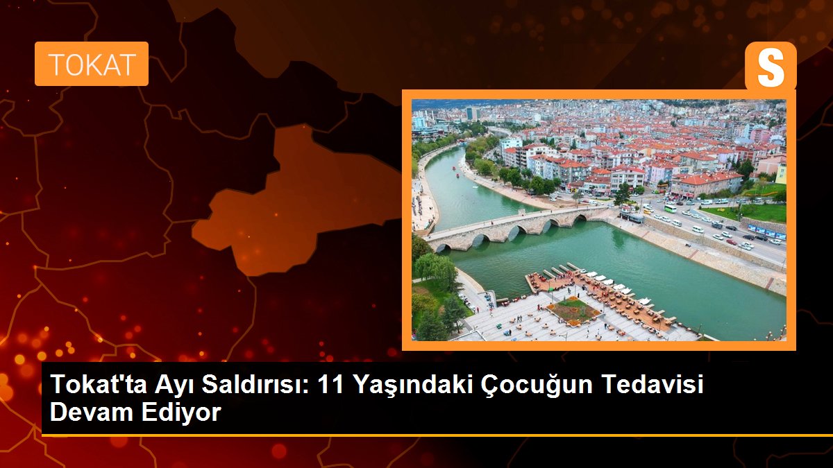 Tokat\'ta Ayı Saldırısı Sonucu Yaralanan Çocuğun Tedavisi Devam Ediyor