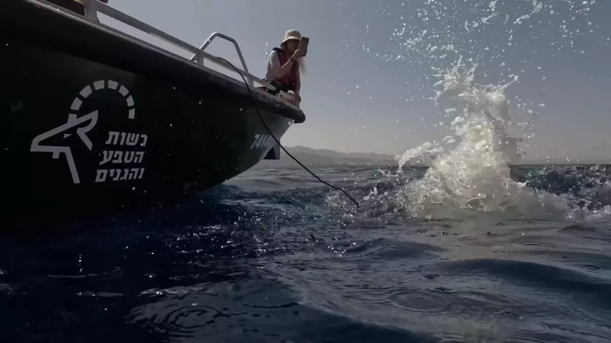 İsrail, Deniz Biyoçeşitliliğini Artırmak İçin Su Altı Robotları Kullanıyor