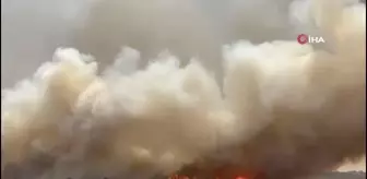 Derik'te 120 dönüm buğday tarlası yangında küle döndü