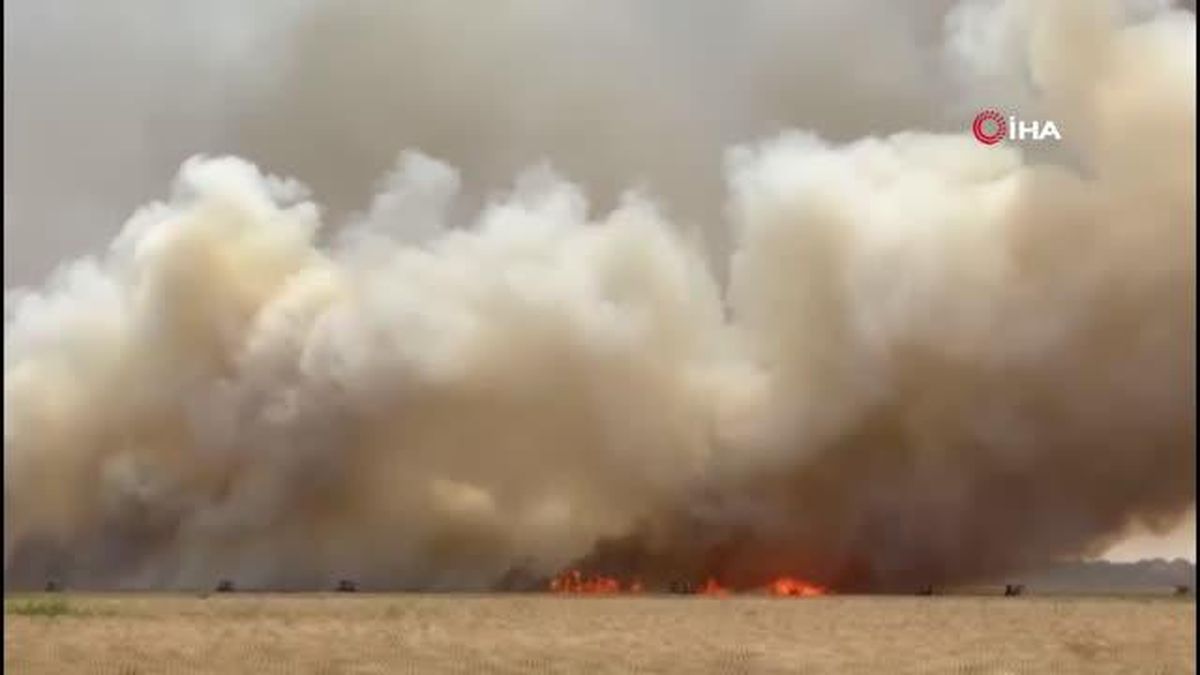 Derik'te 120 dönüm buğday tarlası yangında küle döndü
