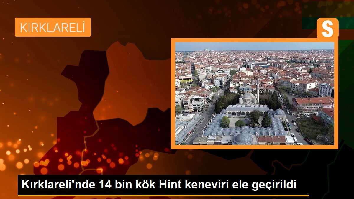 Kırklareli\'nde 14 bin kök Hint keneviri ele geçirildi