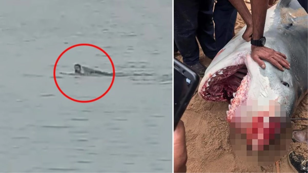 Mısır, ölümcül köpek balığı saldırısının ardından Hurghada\'da denize girmeyi yasakladı