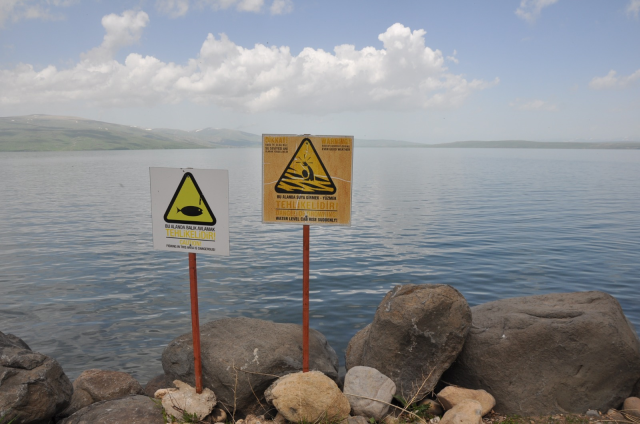 Doğu Anadolu'nun en büyük gölü için tehlike çanları! Su seviyesi azaldı, balık türleri yok oluyor