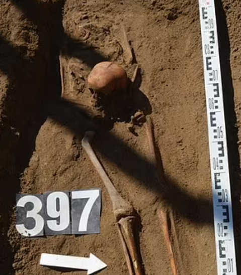Polonya'd yol çalışması sırasında 450 'Vampir' iskeleti ortaya çıkarıldı