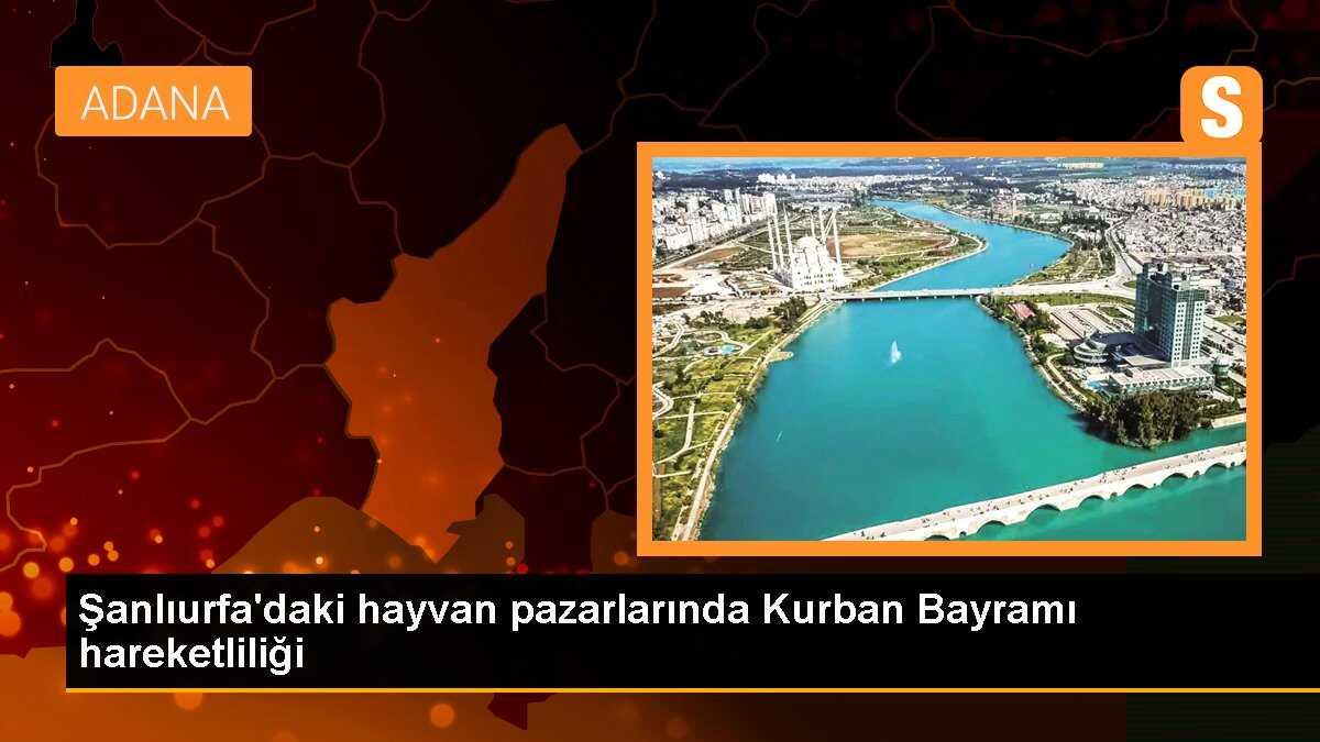Şanlıurfa\'da Kurban Bayramı öncesi canlı hayvan pazarında hareketlilik