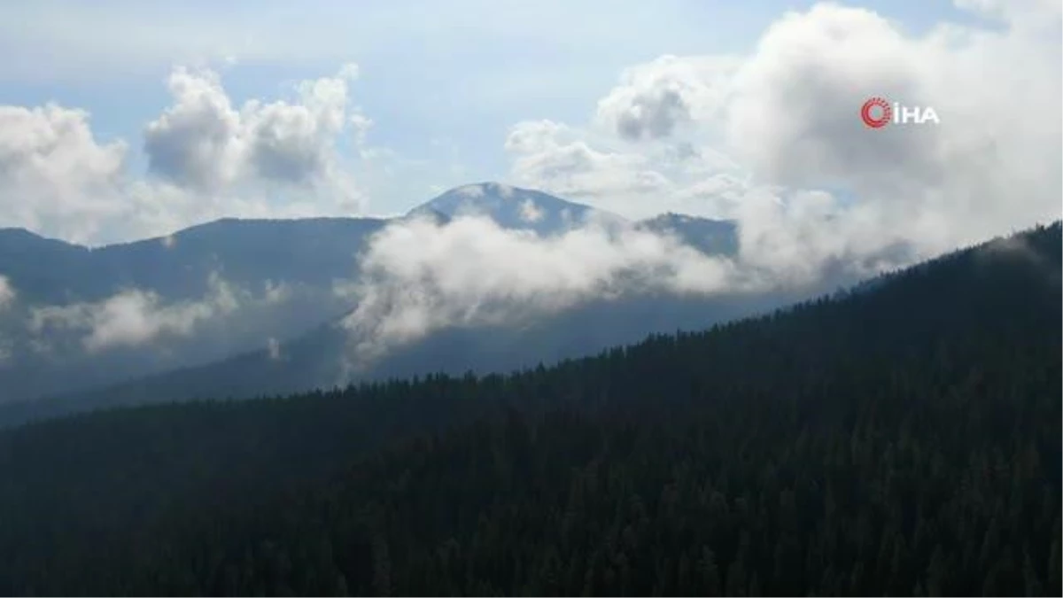 Ilgaz Dağı\'nda Sis Bulutları ile Kaplanan Kartpostallık Görüntüler