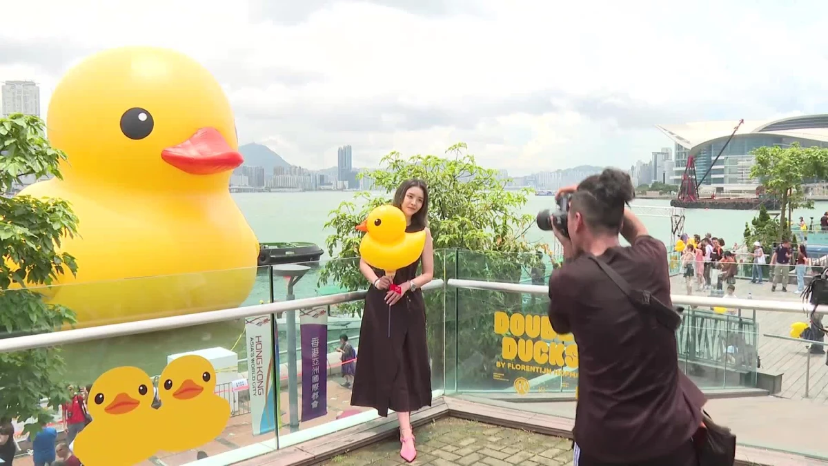 Dev Şişme Ördekler Hong Kong\'da Halkı Eğlendirdi