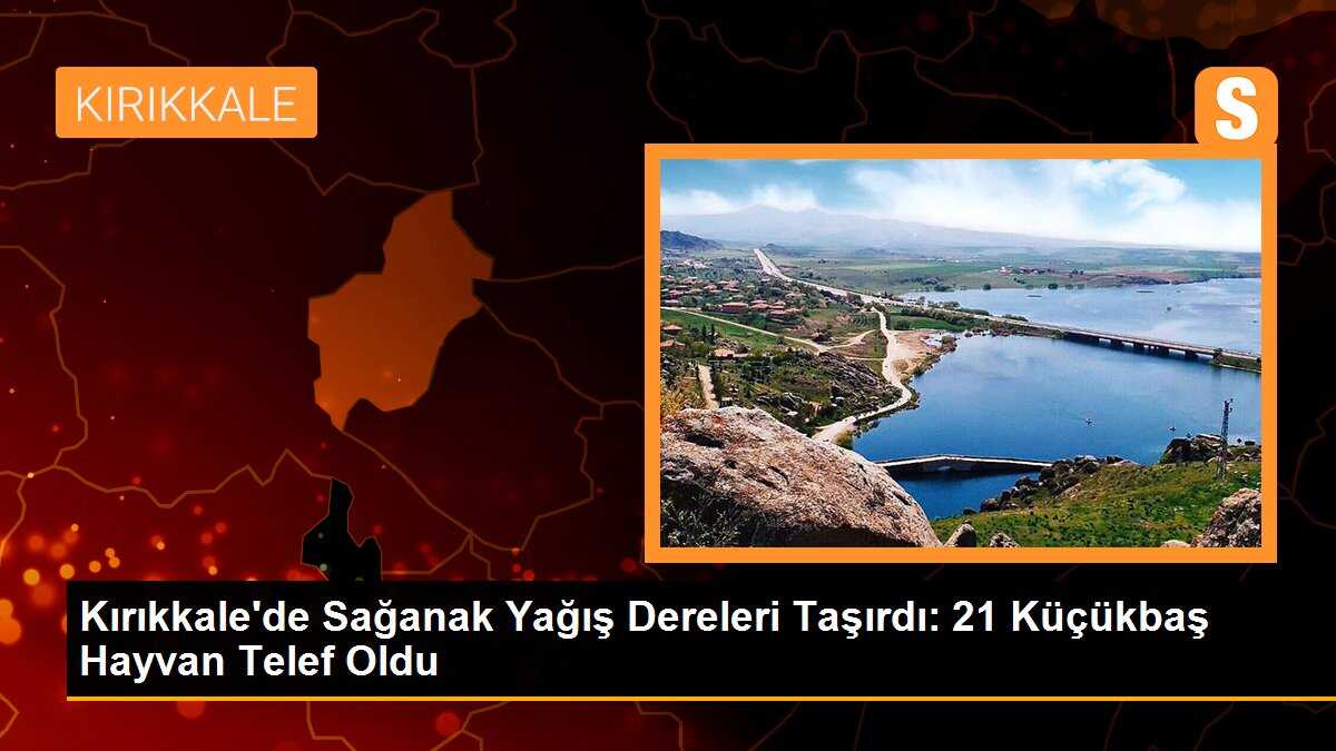 Kırıkkale\'de sağanak nedeniyle dereler taştı, 21 küçükbaş hayvan telef oldu