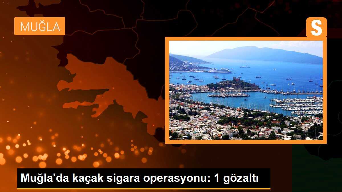 Muğla\'da kaçak sigara operasyonu: Bir şüpheli gözaltına alındı
