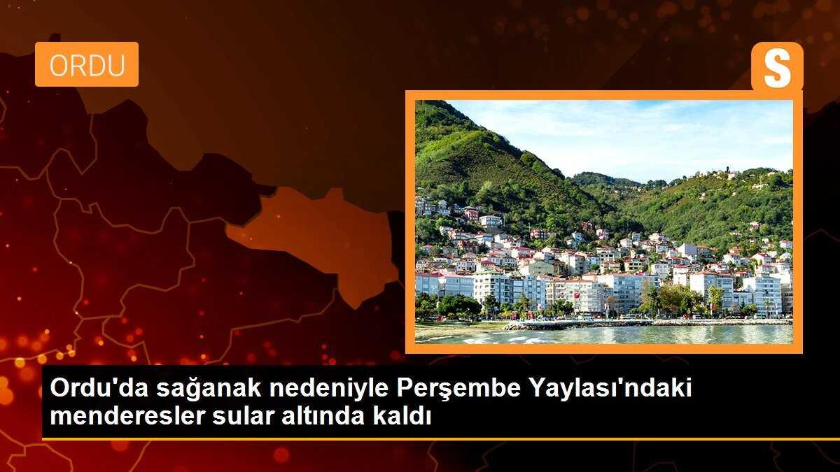 Ordu\'da sağanak nedeniyle Perşembe Yaylası\'ndaki menderesler sular altında kaldı