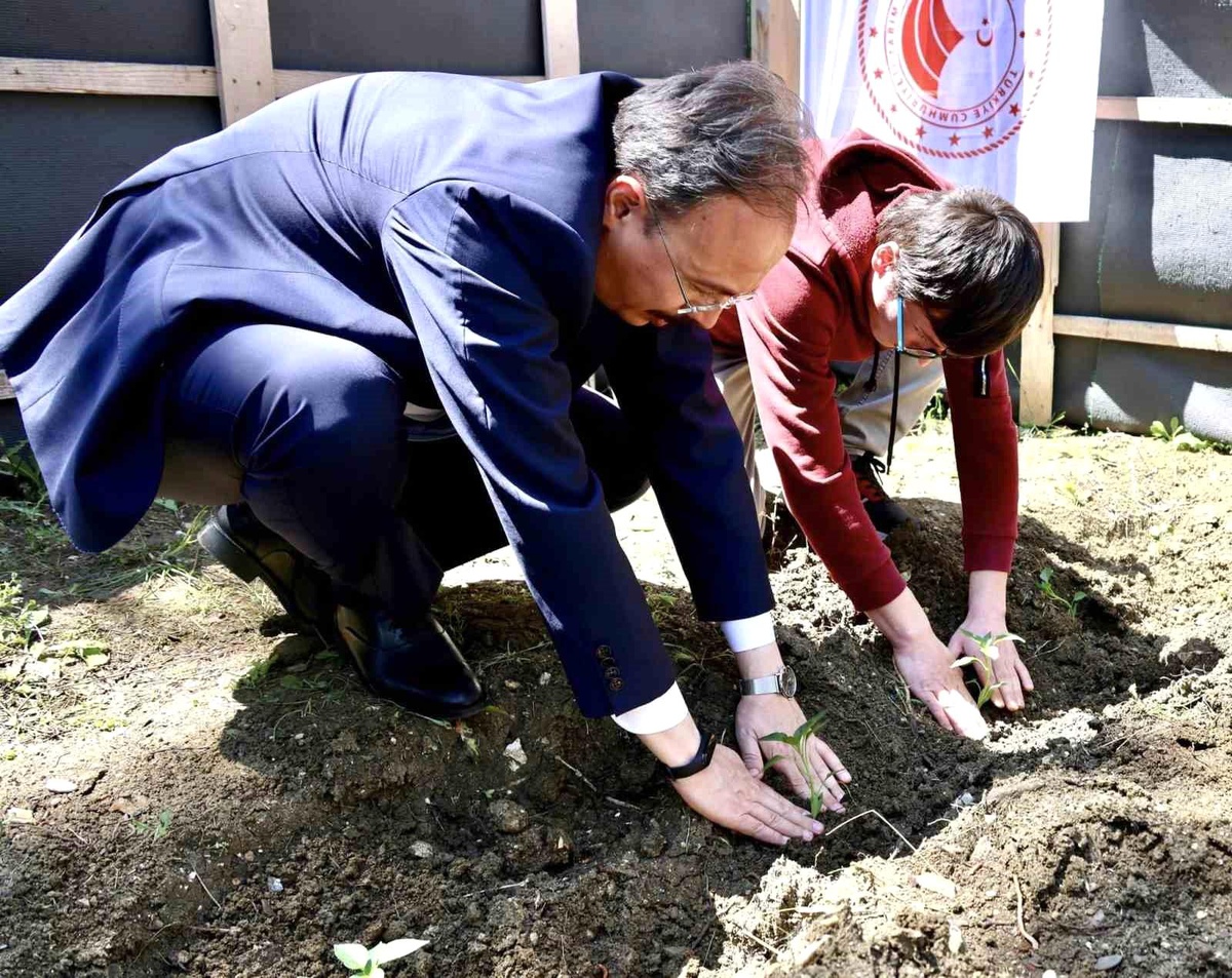 Bilecik\'te yerli fideler toprakla buluştu