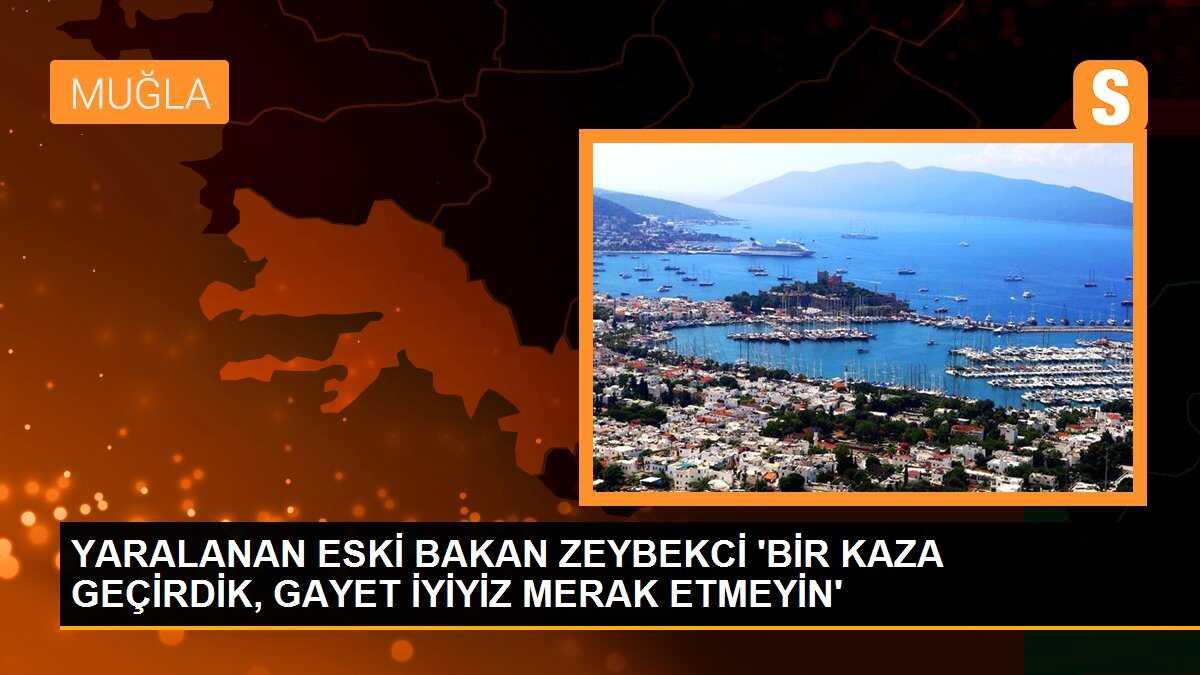 YARALANAN ESKİ BAKAN ZEYBEKCİ \'BİR KAZA GEÇİRDİK, GAYET İYİYİZ MERAK ETMEYİN\'