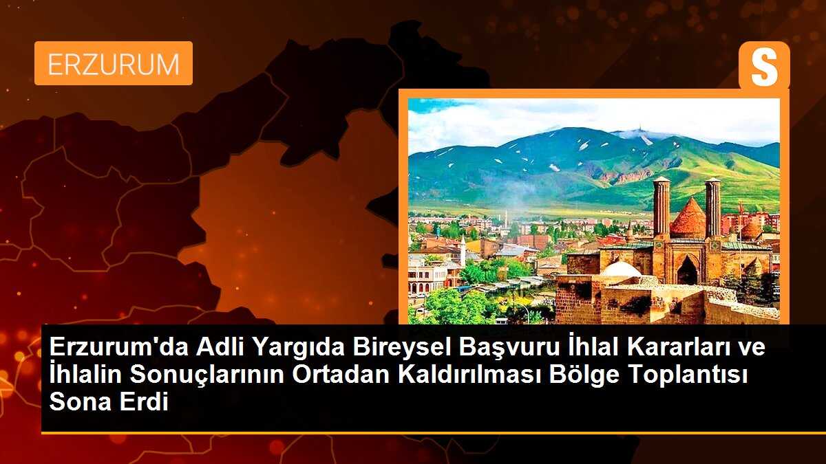 Erzurum\'da Adli Yargıda Bireysel Başvuru İhlal Kararları ve İhlalin Sonuçlarının Ortadan Kaldırılması Bölge Toplantısı Sona Erdi