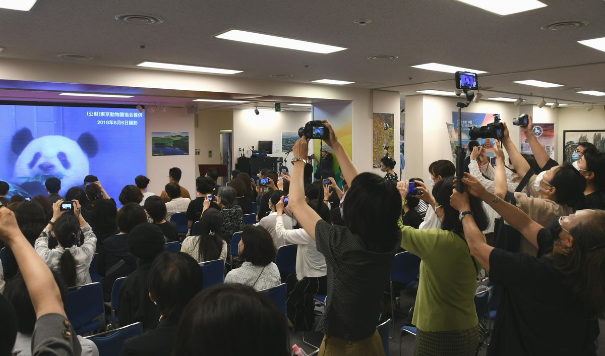 Japonya\'nın ünlü pandası Xiang Xiang\'ın videosu Tokyo\'da izleyicileri büyüledi