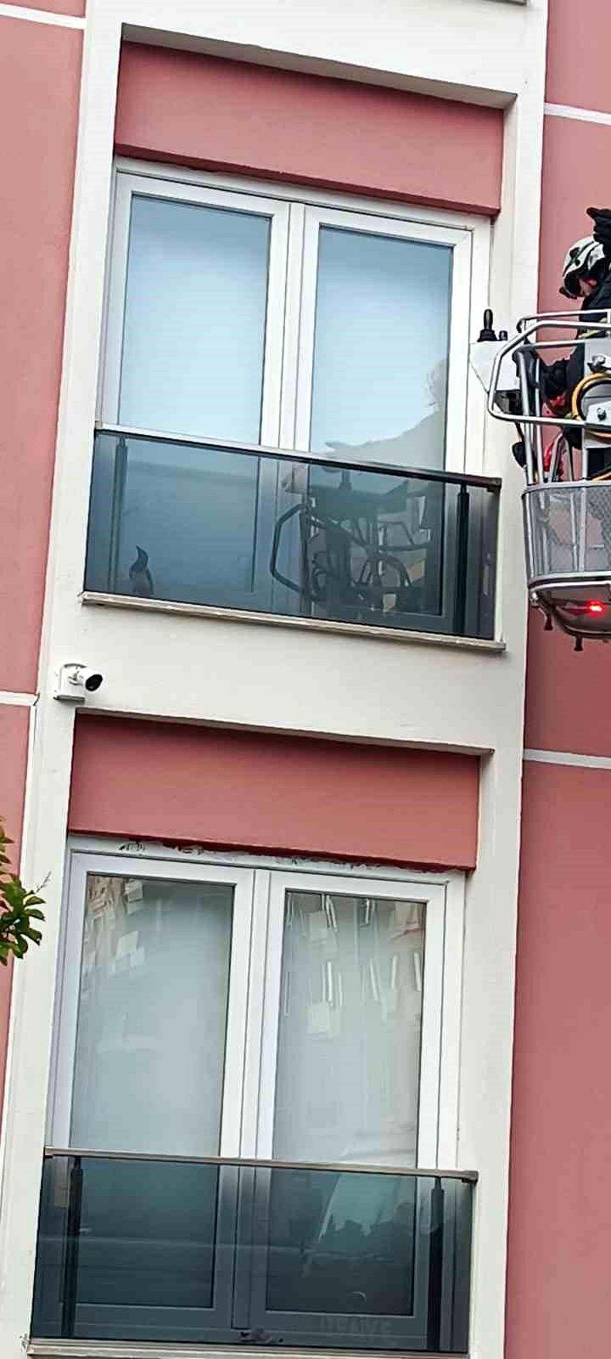 Isparta\'da Sıkışan Güvercin İtfaiye Tarafından Kurtarıldı
