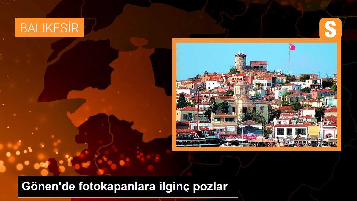 Gönen\'de Fotokapanlara Poz Veren Vatandaşlar Yaban Hayatını Görüntüledi