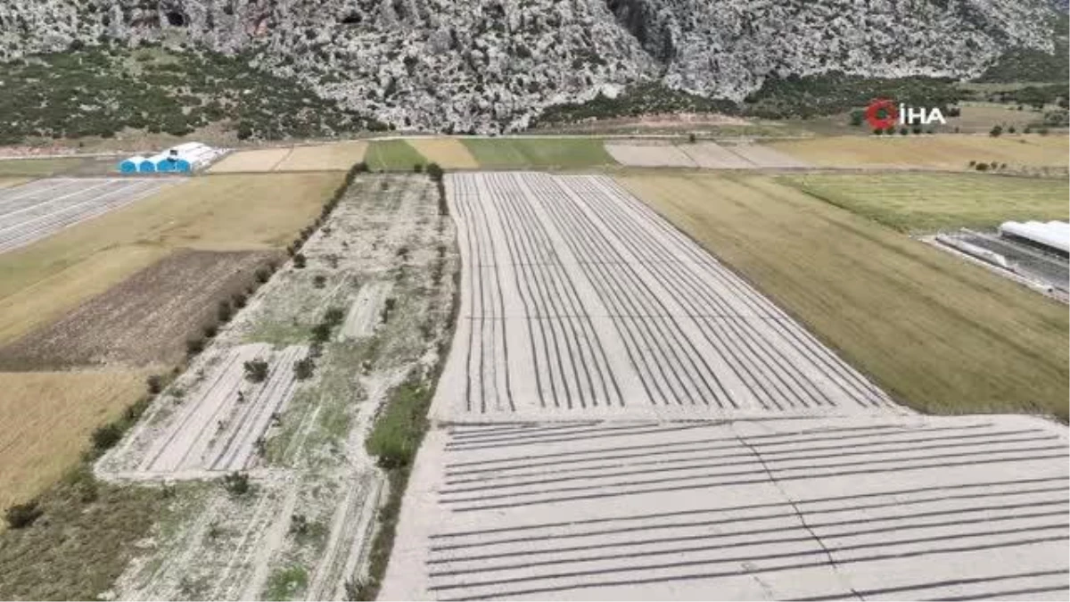 Antalya Büyükşehir Belediyesi, hortum ve dolunun vurduğu üreticilere sera naylonu desteği sağladı