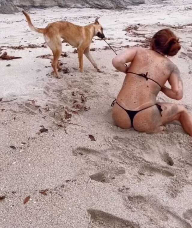 Köpek sosyal medya fenomeni Daniela Henao'nın bikinisinin üstünü çıkardı Köpek sosyal medya fenomeni Daniela Henao'nın bikinisinin üstünü çıkardı