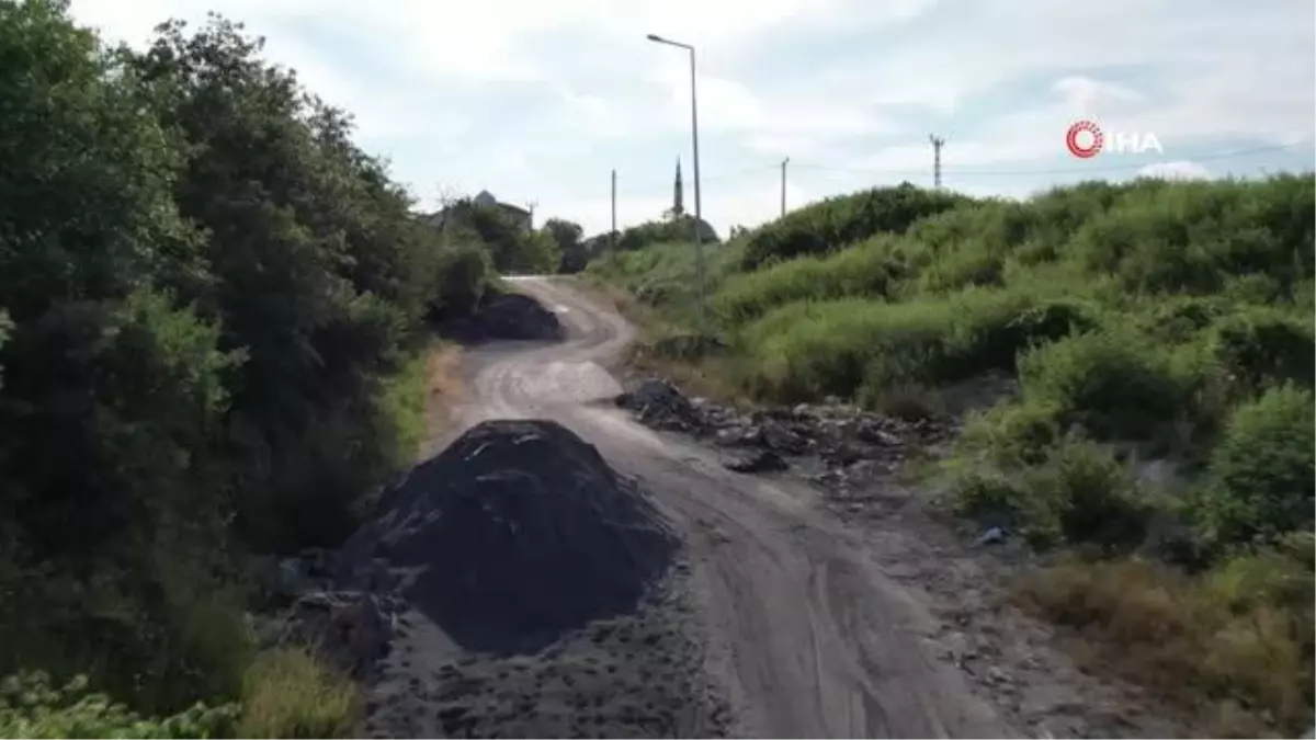 Arnavutköy\'de hayvan satışlarına kimyasal döküm engeli