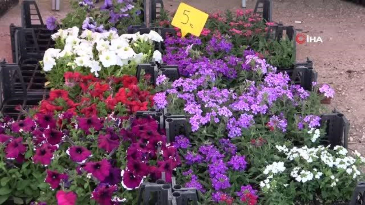 Rengarenk çiçekler pazar tezgahlarını süslüyor