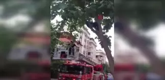 Sancaktepe'de Ağaçta Mahsur Kalan Çocuk İtfaiye Ekipleri Tarafından Kurtarıldı