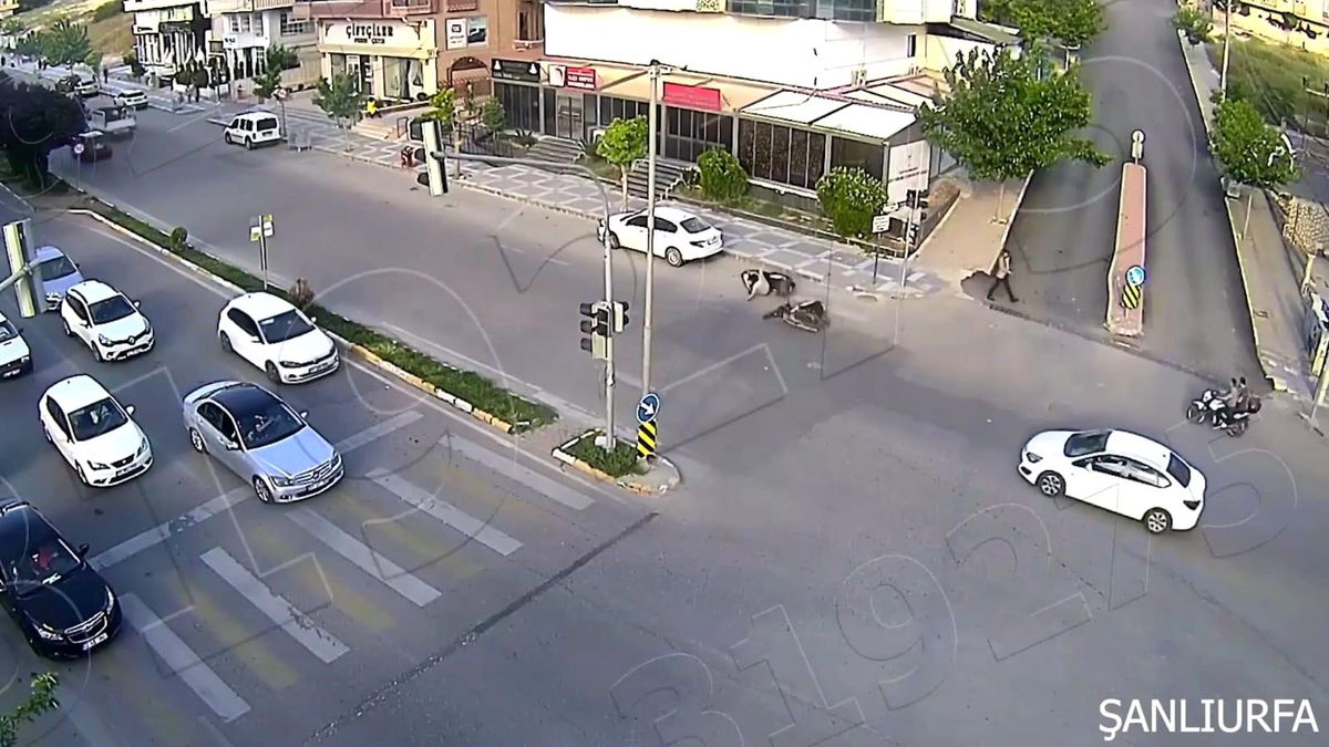 Şanlıurfa\'da Dikkatsizlik Sonucu Meydana Gelen Kazalar KGYS\'ye Yansıdı