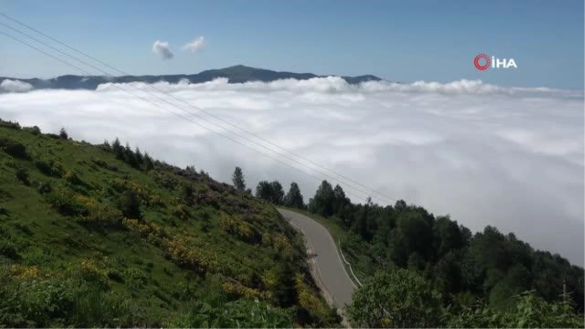 Trabzon\'un yaylalarında bulut denizi görsel şöleni oluşturuyor