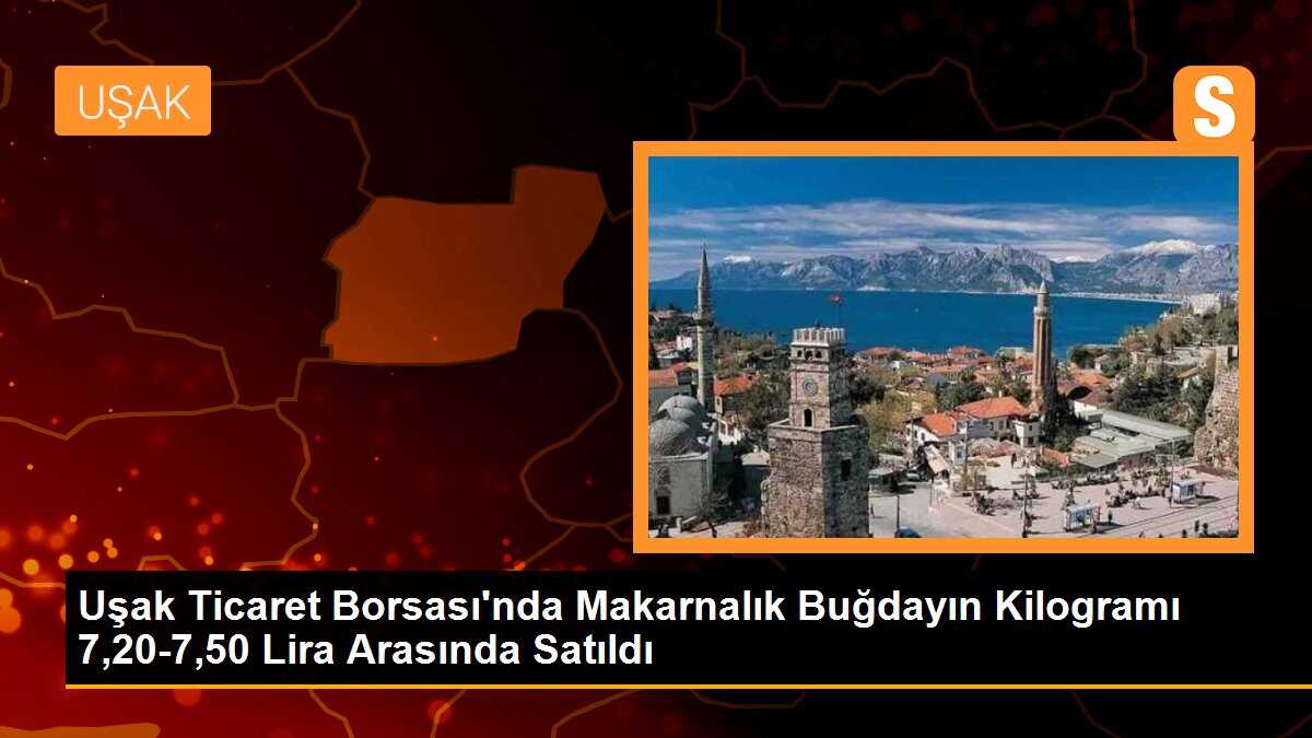 Uşak Ticaret Borsası\'nda Makarnalık Buğdayın Kilogramı 7,20-7,50 Lira Arasında Satıldı