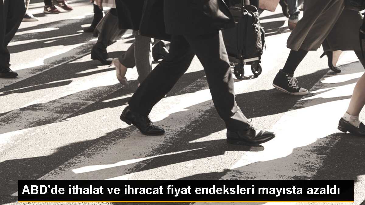 ABD\'de İthalat ve İhracat Fiyat Endeksleri Mayıs Ayında Azaldı