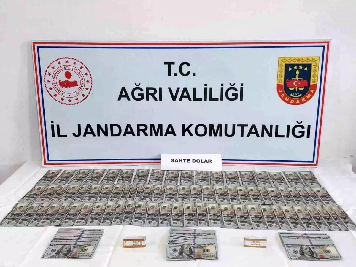 Ağrı\'da İran\'dan getirilen sahte 28 bin 700 dolar ele geçirildi