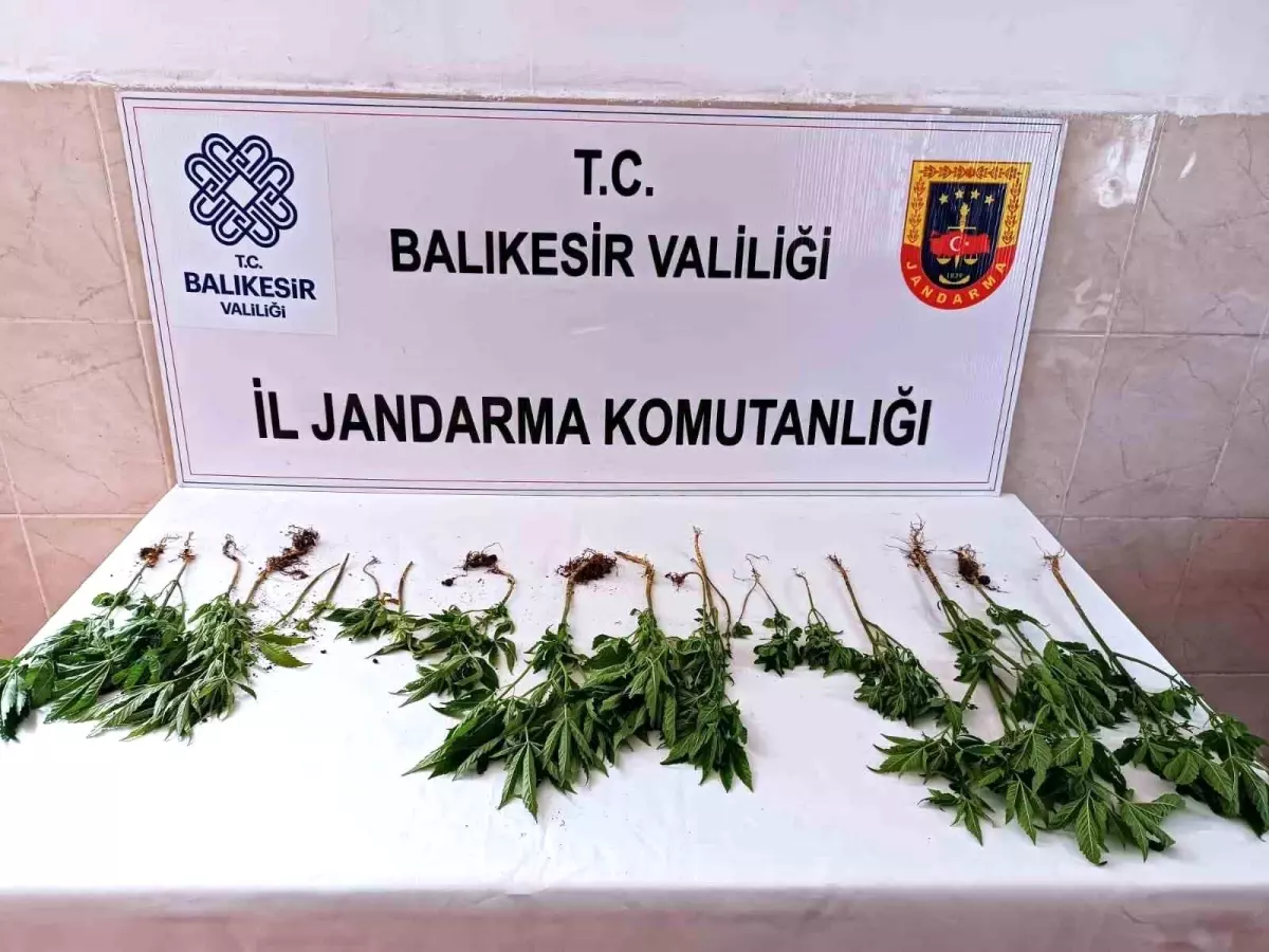 Balıkesir\'de Uyuşturucu Operasyonu: İki Şüpheli Yakalandı